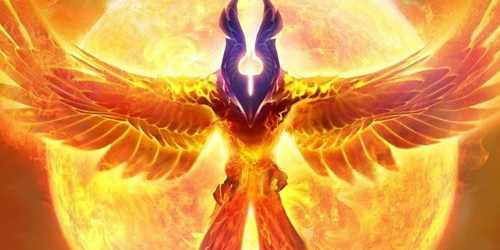 Logo – Team Phoenix